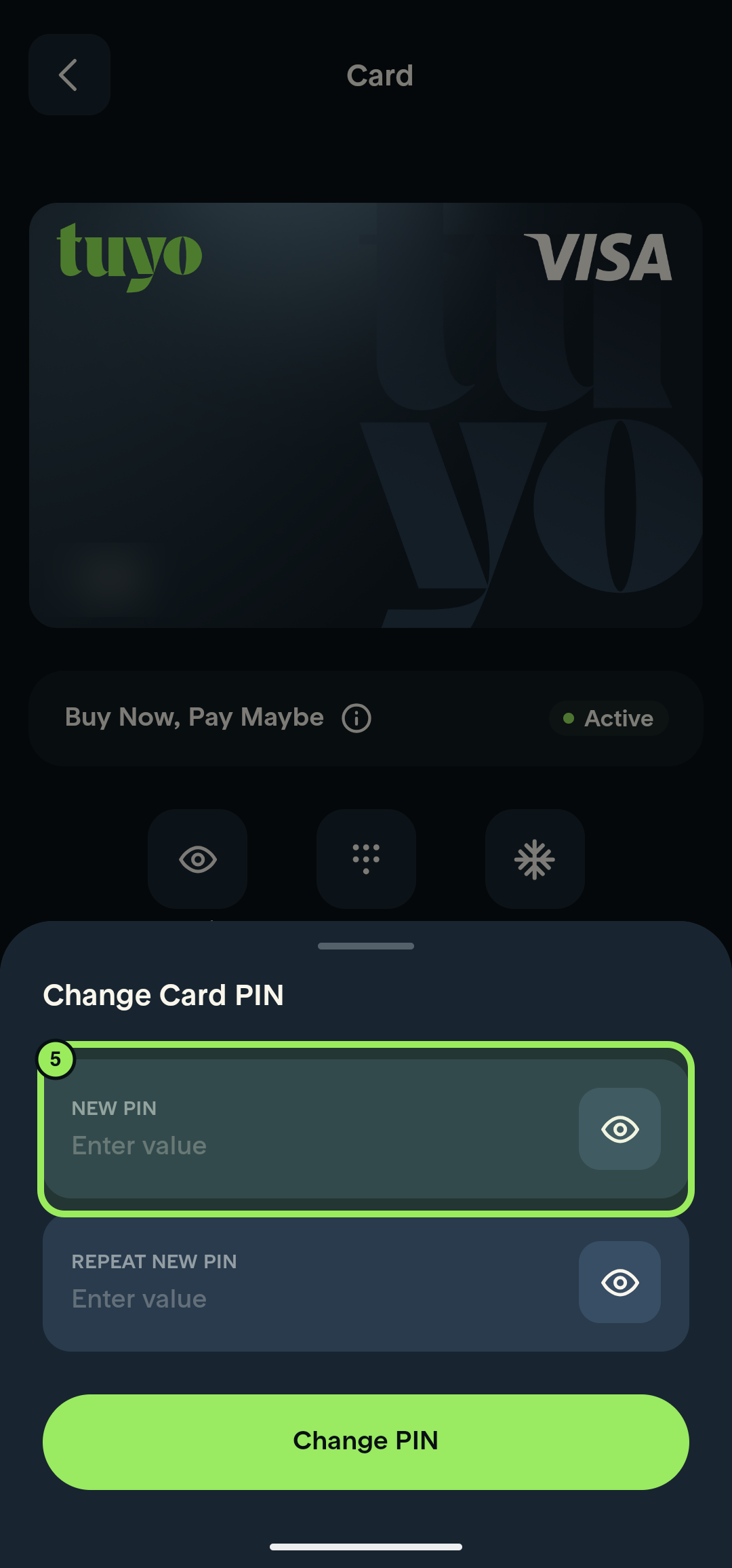 Change Card PIN panel with the New PIN field highlighted