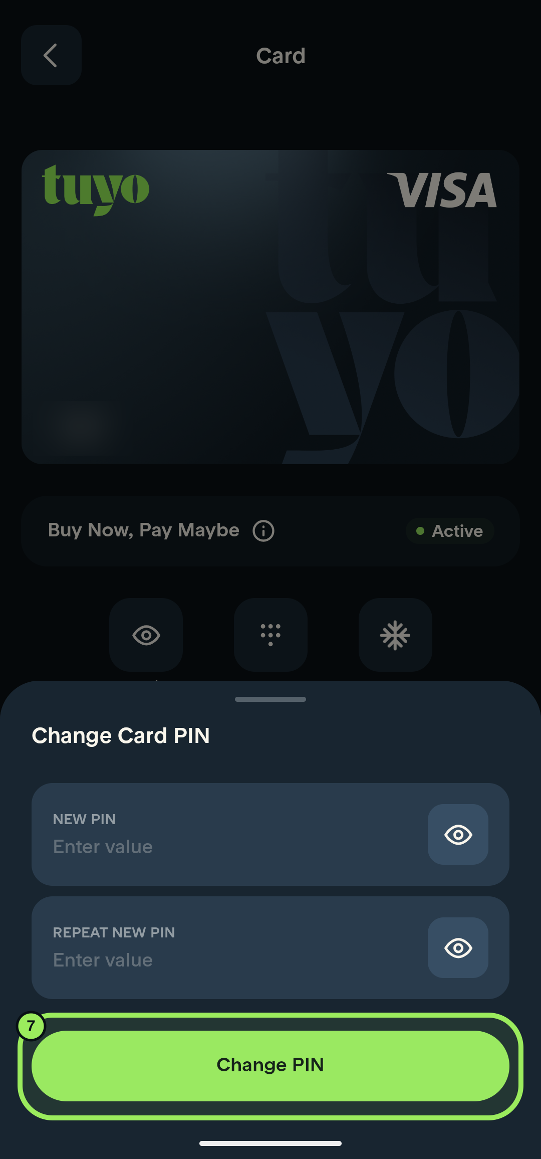 Change Card PIN panel with the Change PIN button highlighted