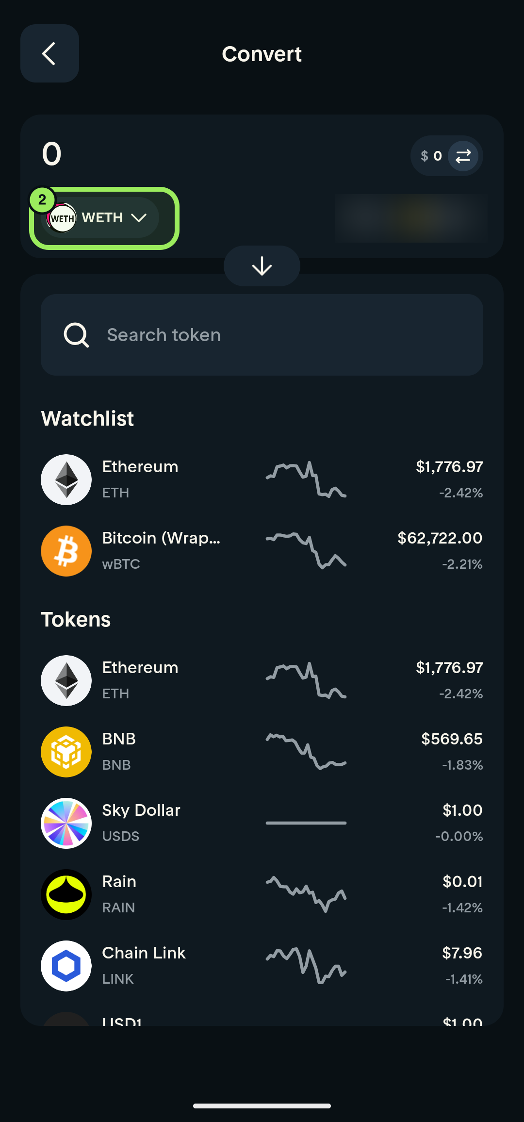 Full-screen Convert page with the source token highlighted and account balance blurred