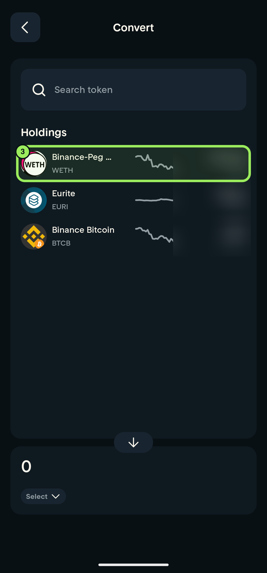 Full-screen source-token picker with one holding highlighted and financial values blurred