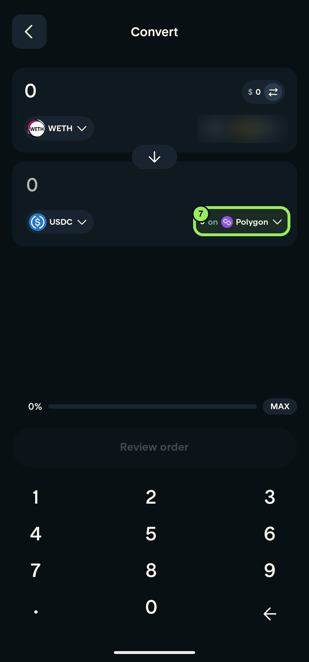 Full-screen Convert page with the destination chain highlighted and account balance blurred