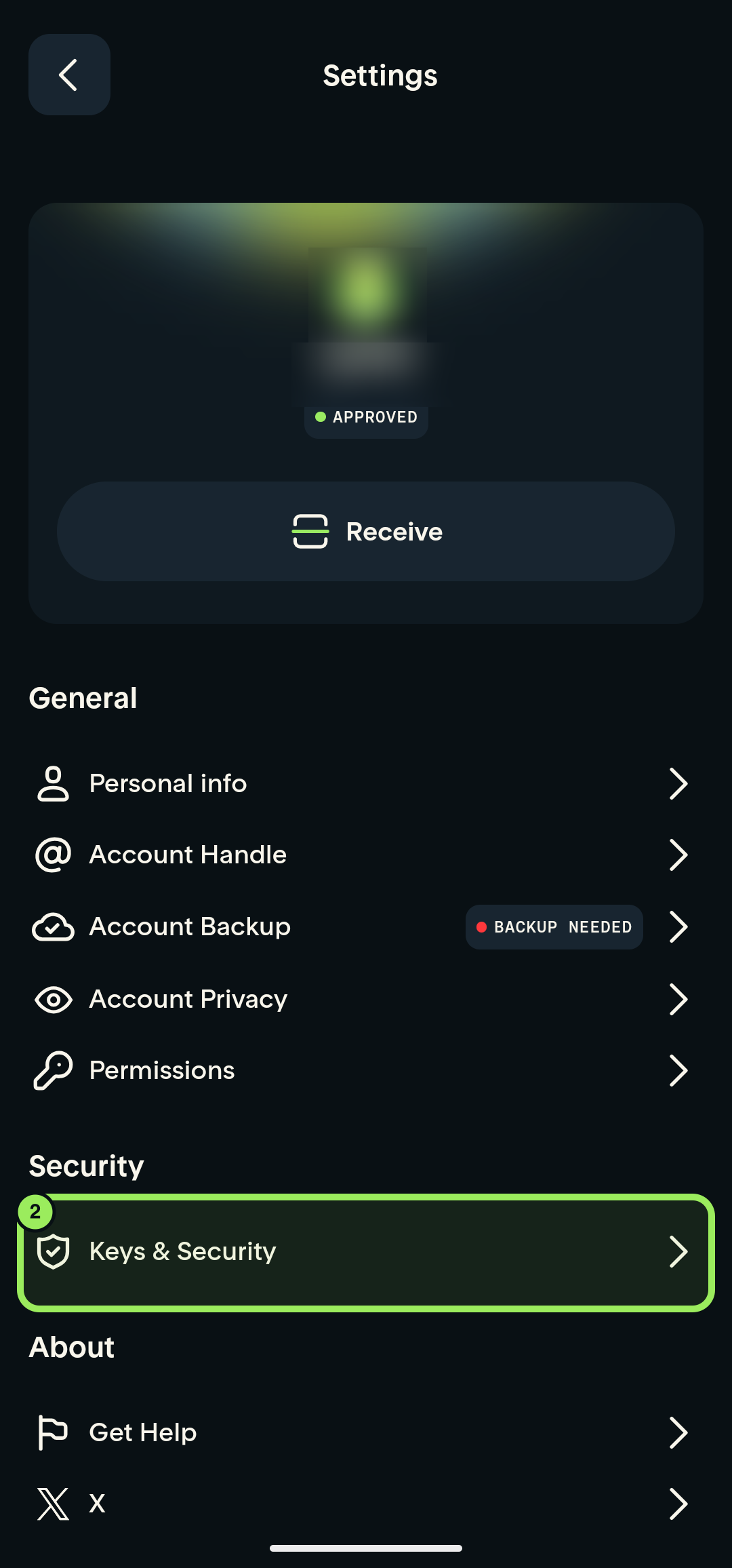Settings page with personal details blurred and Keys and Security highlighted