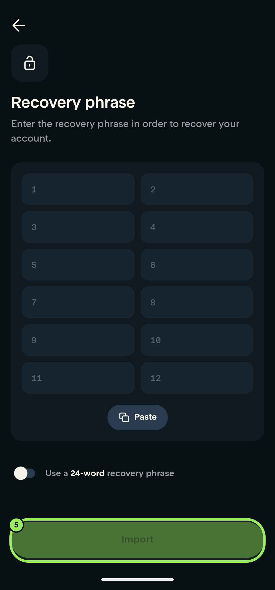 Full-screen empty recovery form with Import highlighted; no recovery words are shown
