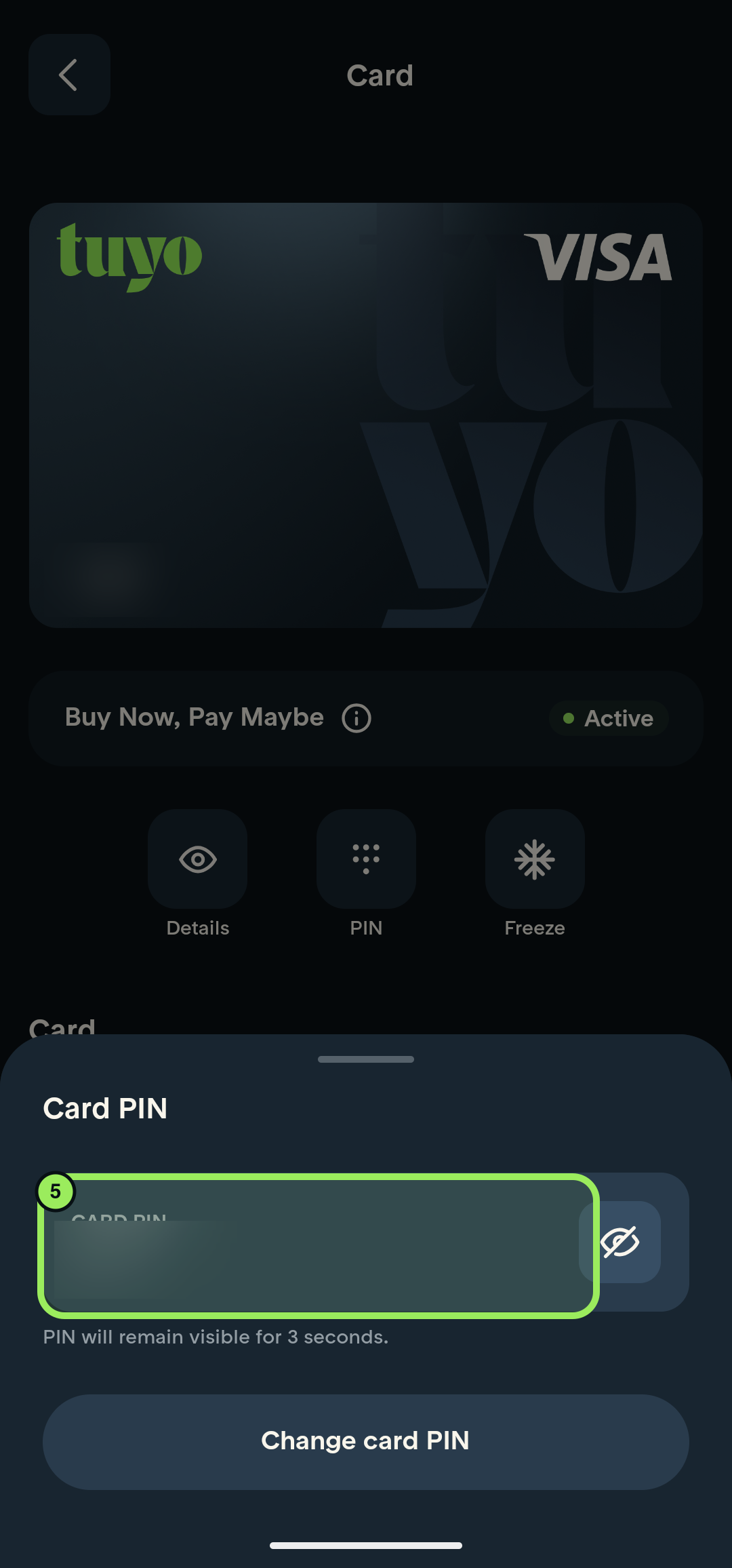 Card PIN panel with the revealed PIN fully censored