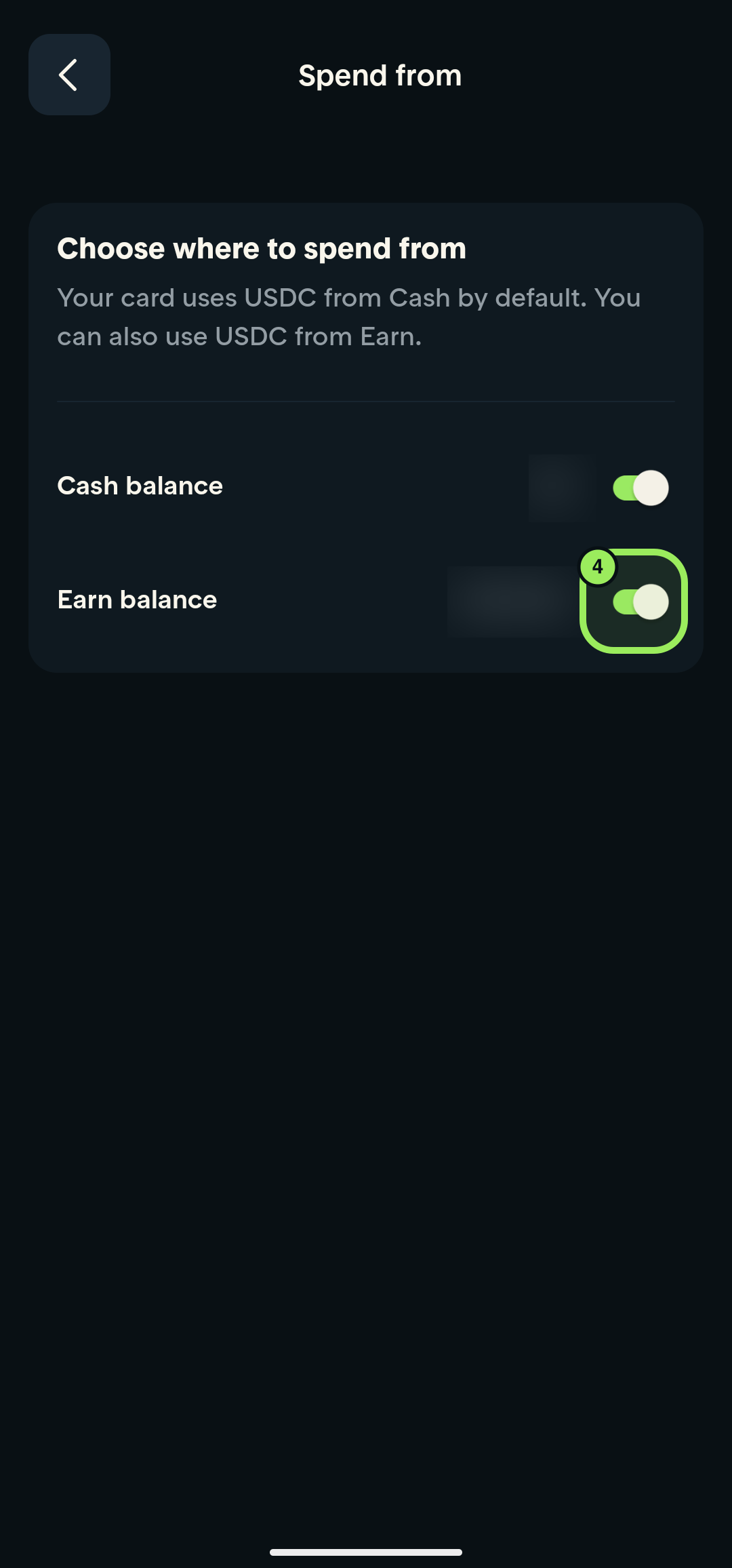 Spend from page with the Earn balance switch highlighted