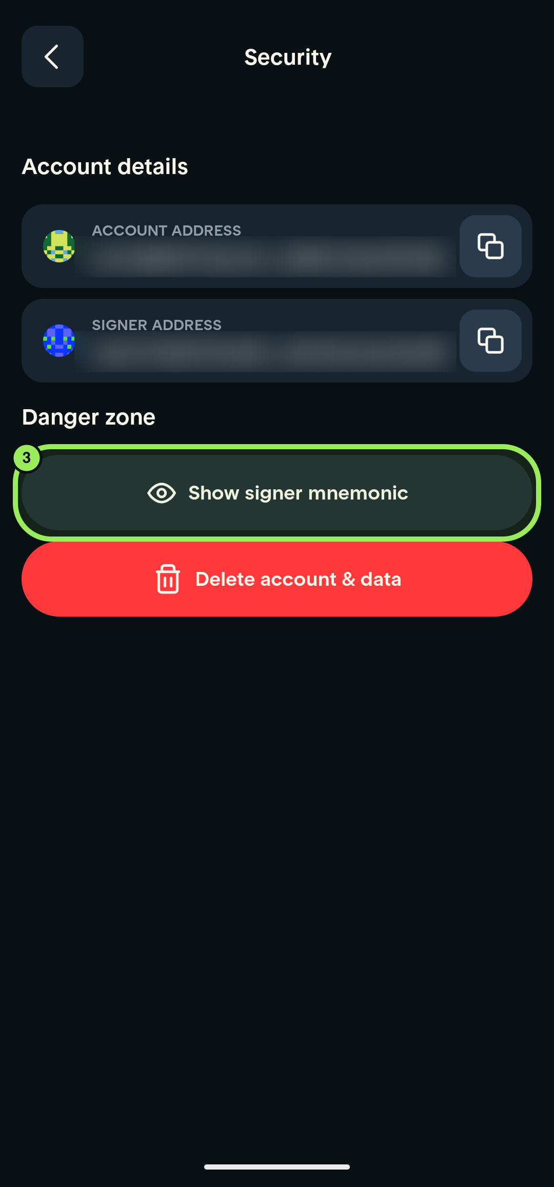 Security page with account addresses blurred and Show signer mnemonic highlighted