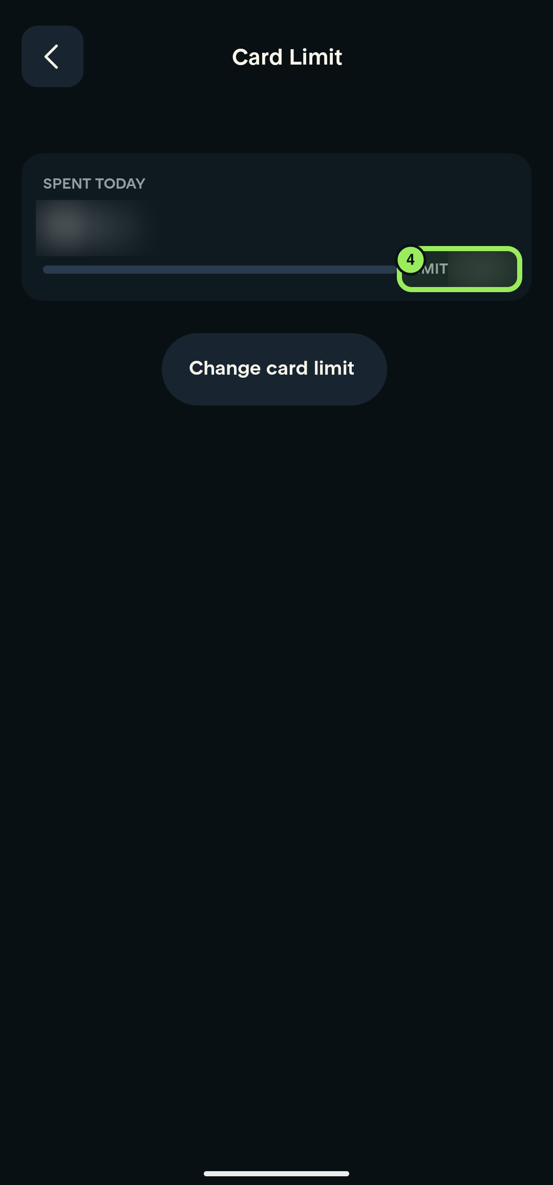 Card Limit page with the current limit highlighted